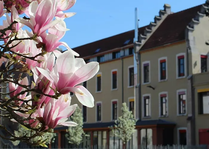 Dream Appartement!! Spacieux ,Calme Au Rez-De-Chaussee
