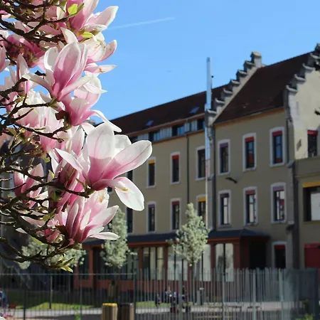 Dream Appartement!! Spacieux ,Calme Au Rez-De-Chaussee Bourg-en-Bresse Buitenkant foto